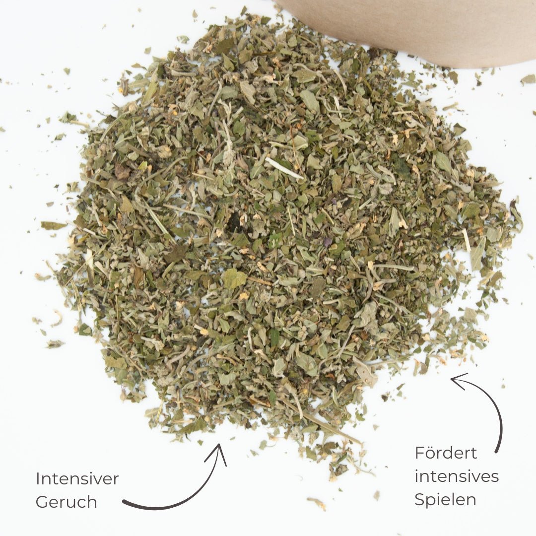 Katzenminze lose - Mr. Snippers